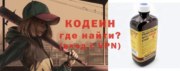 кокс Вяземский