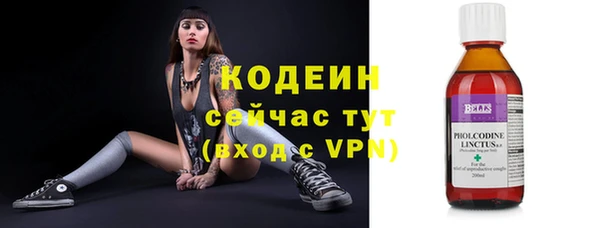 кокс Вяземский